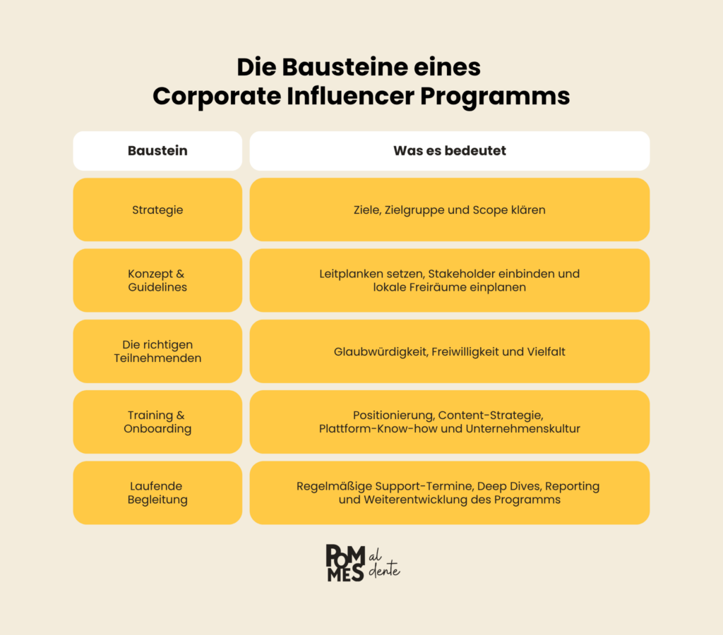 Infografik: Die fünf Bausteine eines Corporate Influencer Programms – Strategie, Konzept und Guidelines, die richtigen Teilnehmenden, Training und Onboarding sowie laufende Begleitung.